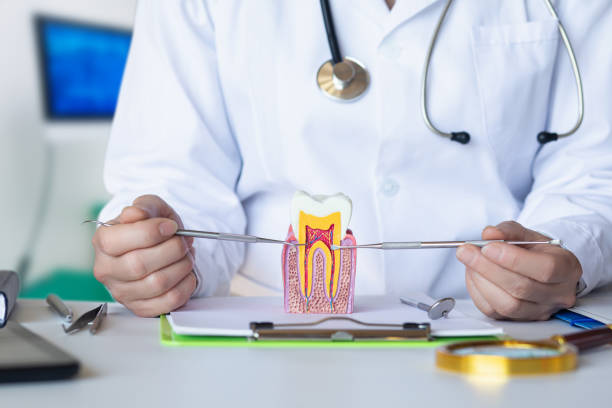 Best Emergency Dental Care for Abscessed Tooth in Yuipa, CA